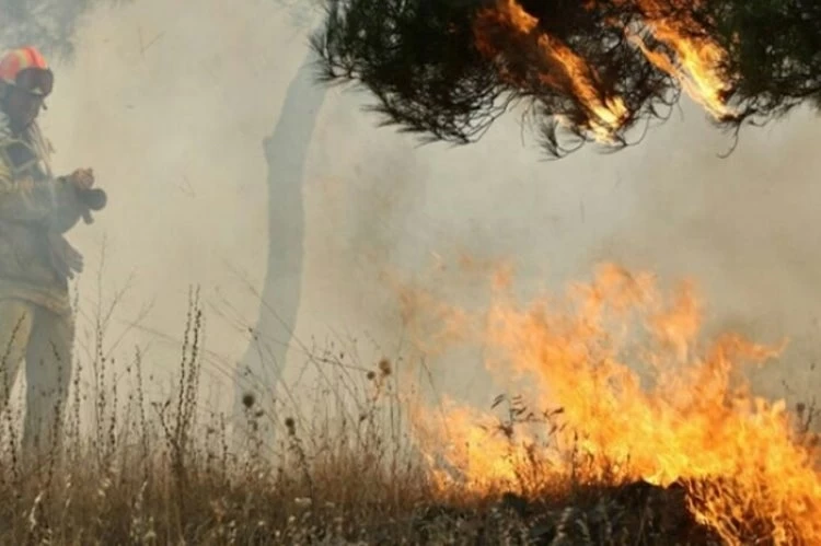 Πυροσβεστικό Σώμα: Συνολικά 27 δασικές πυρκαγιές το τελευταίο 24ώρο